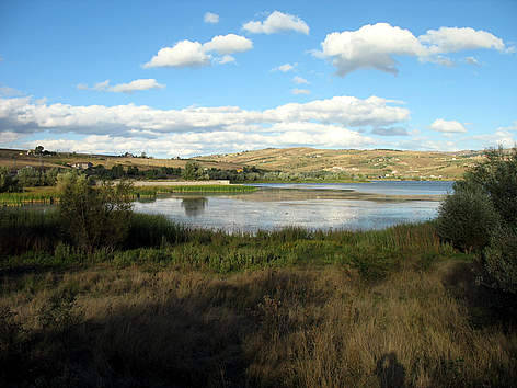 Il commissario ASI, Totò  e la vendita del lago Pantano di Pignola