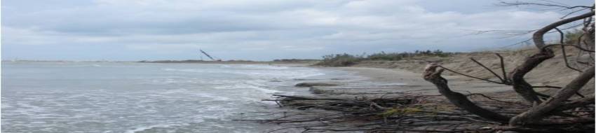 Il mare avanza, diminuisce la spiaggia libera e aumentano i lidi