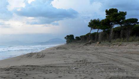 Cadavere di neonata ritrovato sulla spiaggia