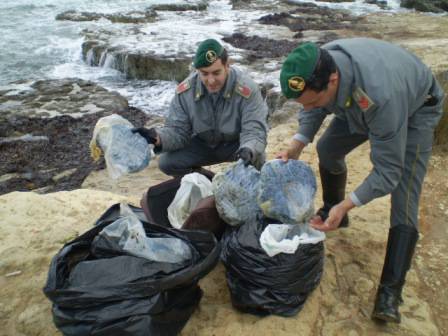 Quintali di marijuana sequestrati a Otranto