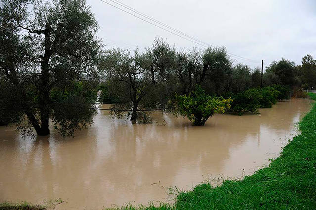 Alluvione nel Materano e nel Metapontino: “Conte intervenga a sostegno delle attività colpite”
