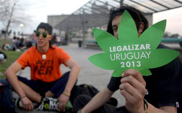 Uruguay, cannabis verso legalità