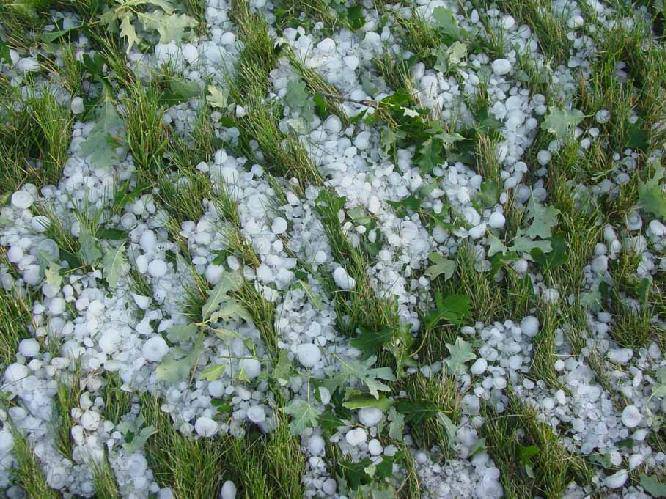 Rotondella, grandinata ha danneggiato produzioni agricole