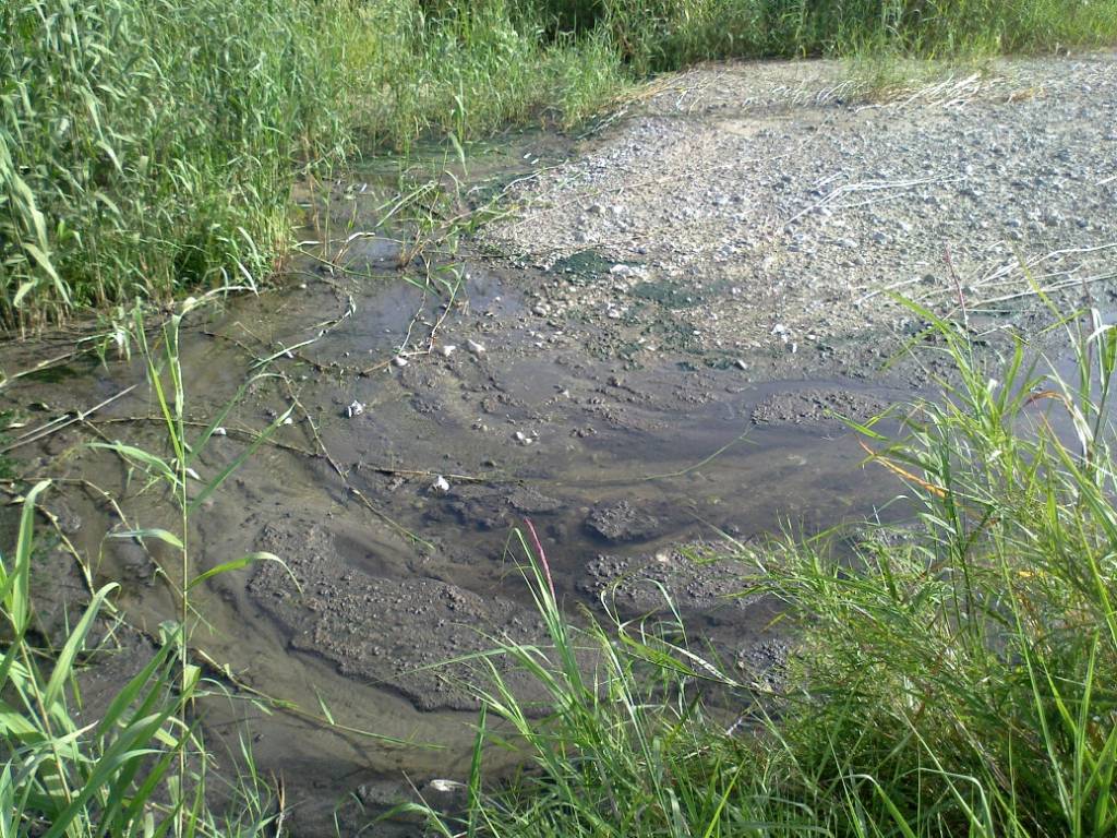 Tursi, reflui fognari nel Pescogrosso