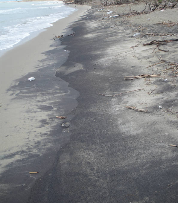 Fanghi neri sulla spiaggia consigliata dai pediatri