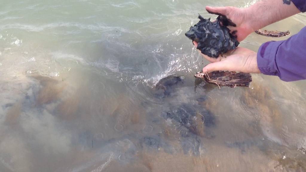 Fanghi neri sulla spiaggia consigliata dai pediatri