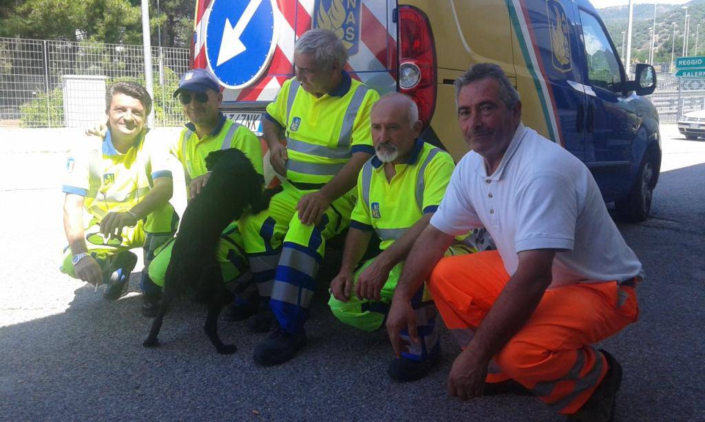 La storia a lieto fine di Nerone, salvato sull’autostrada dai cantonieri Anas