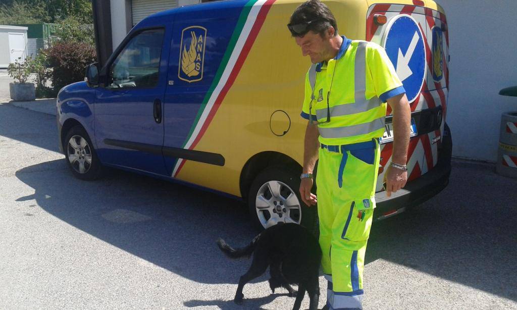 La storia a lieto fine di Nerone, salvato sull’autostrada dai cantonieri Anas