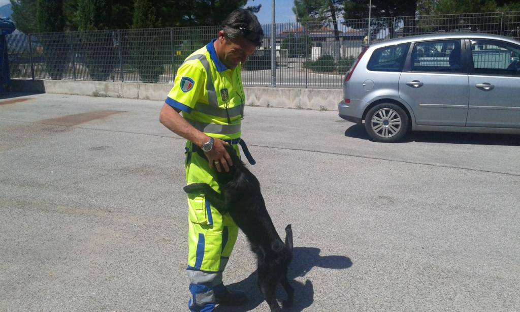 La storia a lieto fine di Nerone, salvato sull’autostrada dai cantonieri Anas