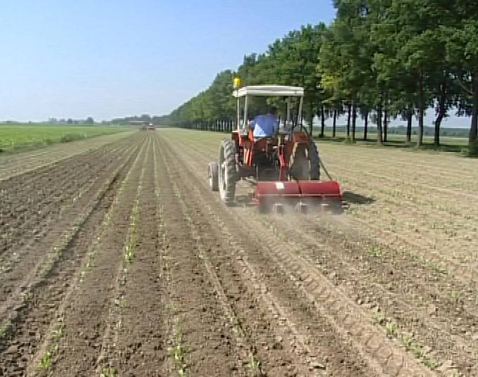 Crisi agricola, parte da Matera la mobilitazione d’autunno