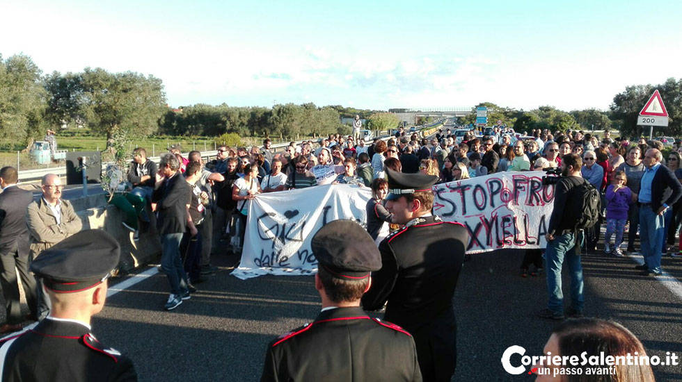 Xylella: a Brindisi manifestanti bloccano taglio ulivi