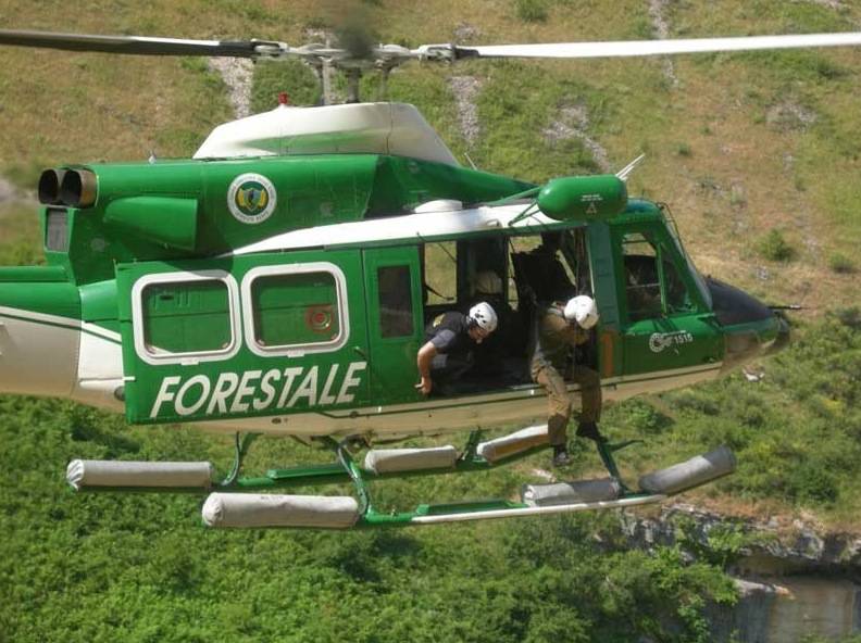 Corruzione: arrestati 5 uomini della Forestale