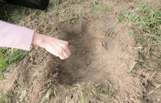 Feto sepolto in un campo: nei guai fidanzatini