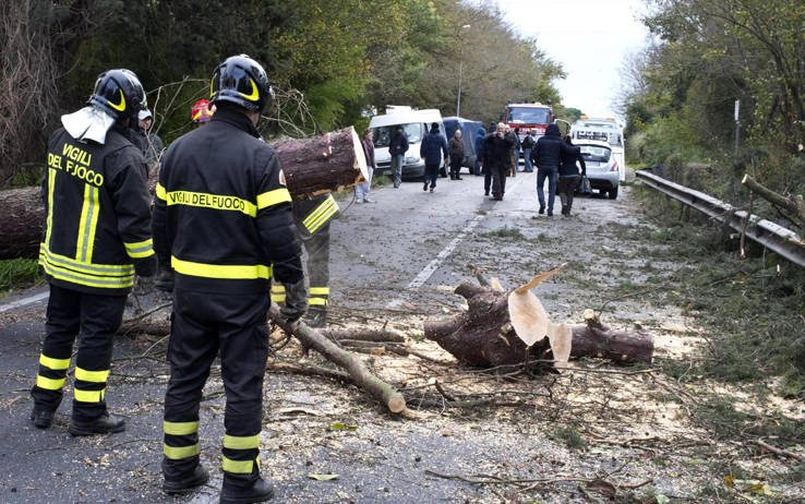 Albero cade su auto: due morti