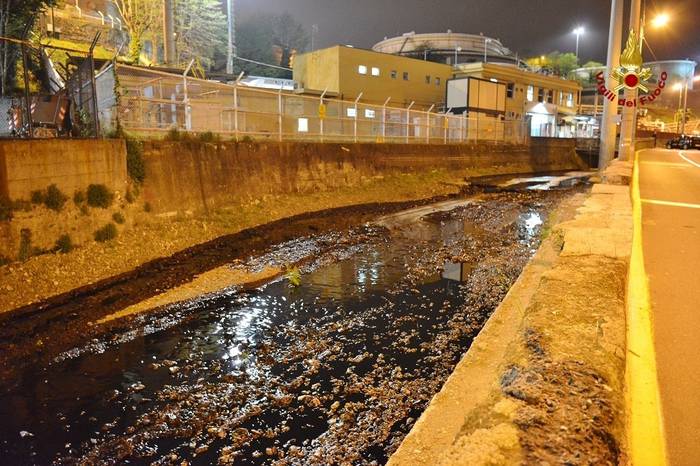 Genova: sversamento petrolio in torrenti