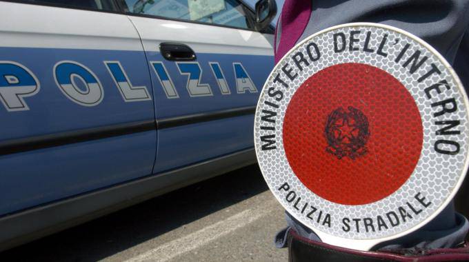 Lagonegro, blitz della Polizia Stradale: sequestrati 280 chili di novellame