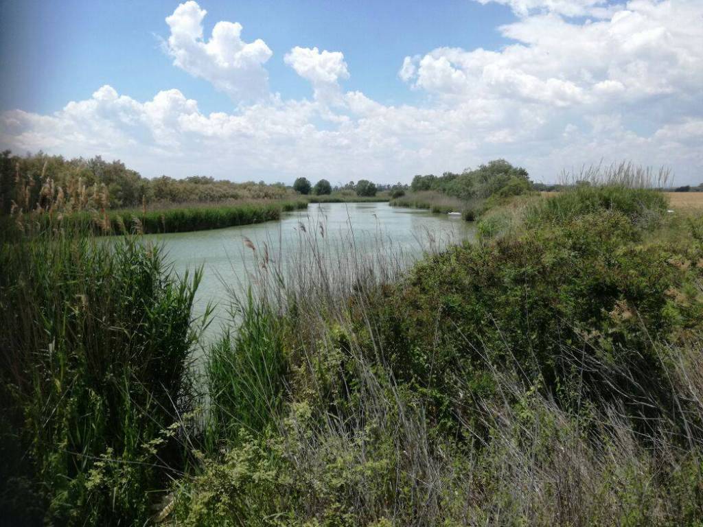 Pisticci, un tavolo tecnico sul fiume Cavone