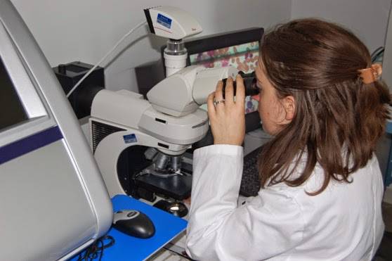 Oncologia di precisione, in Basilicata test genomici per il colangiocarcinoma