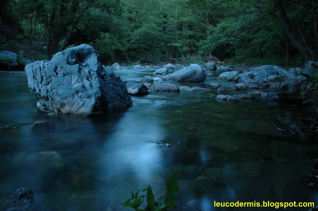 Pollino, con centrale idroelettrica a rischio l’ecosistema fluviale del Frido