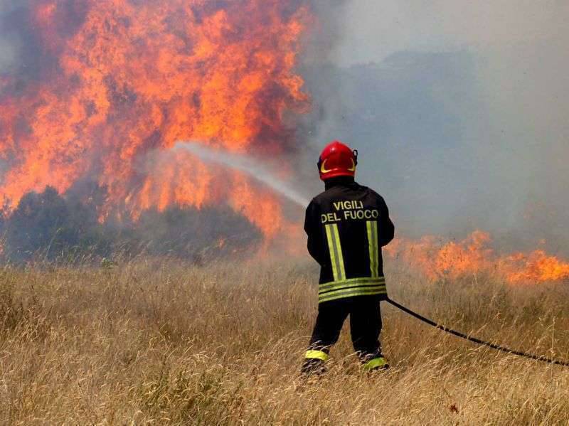 Gargano in fiamme: distrutti ettari di bosco