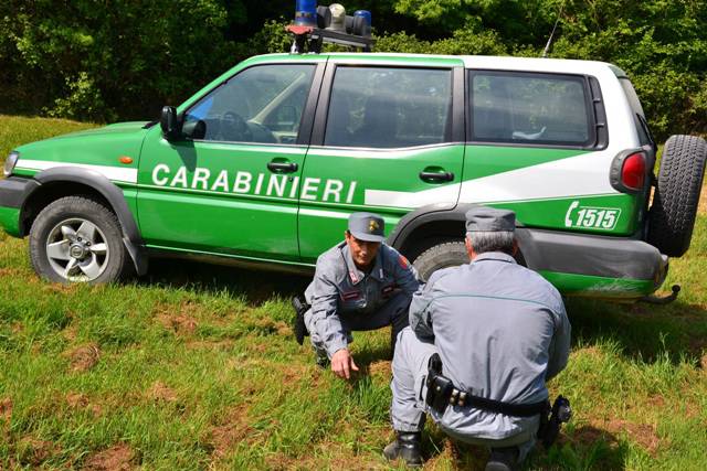Bracconaggio, operazione dei Carabinieri forestali di Matera: sequestrati 18 richiami illegali