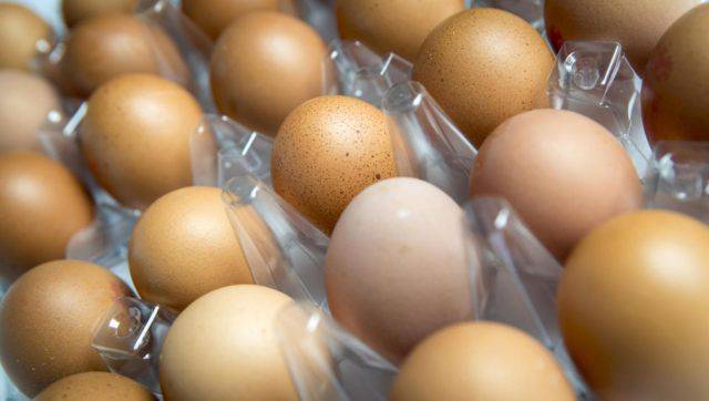 Uova contaminate, trovati in Italia due campioni al fipronil