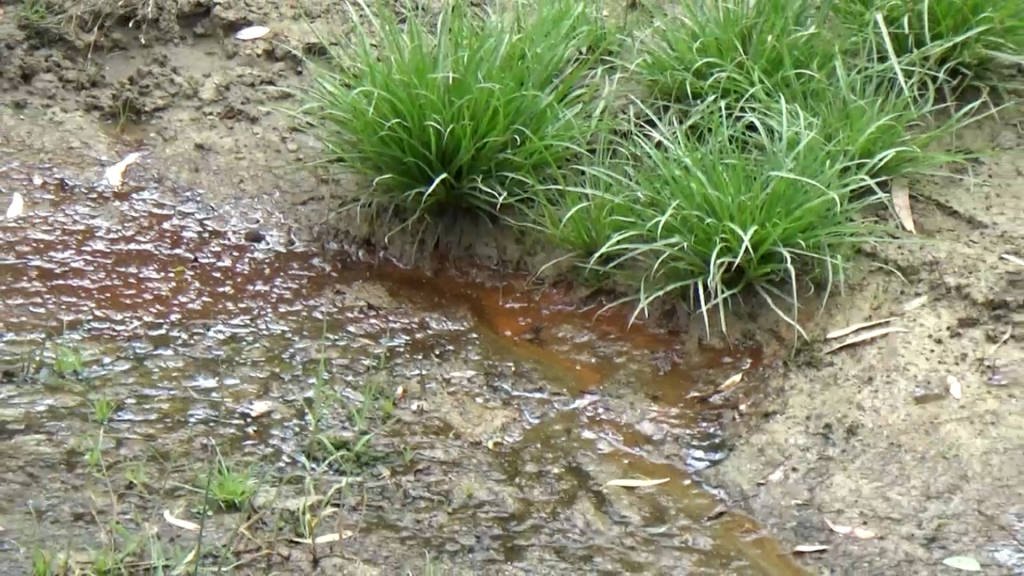 Val Basento, zona franca petrolifera