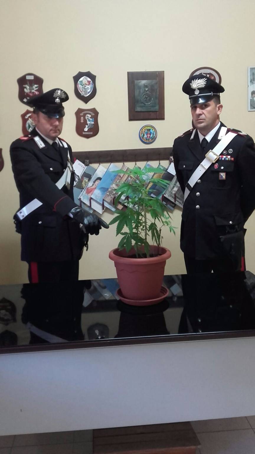 Carabinieri di Palazzo San Gervasio 