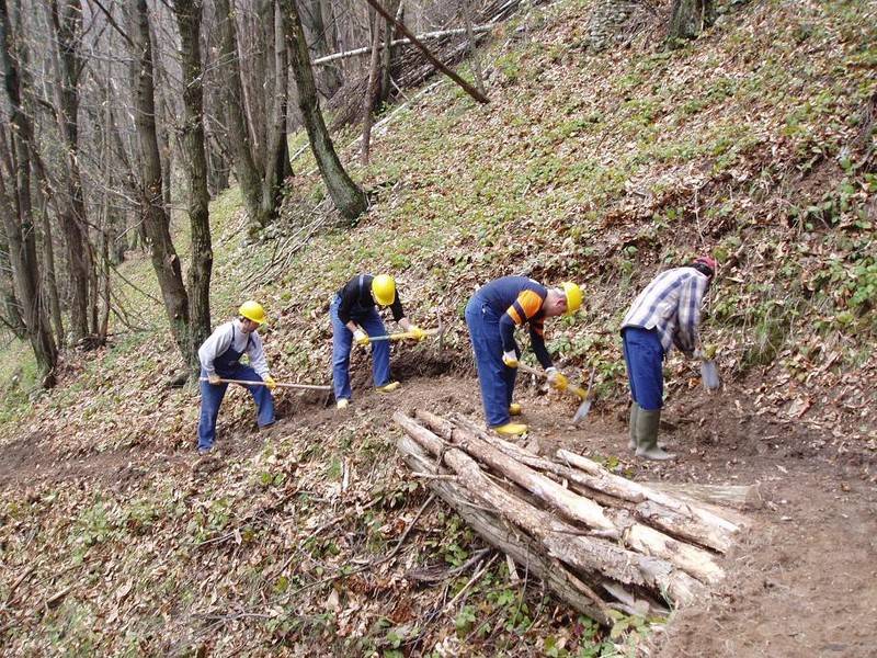 Lavoratori forestali del Lagonegrese: “Regione, sindacati e Consorzio se ne fregano di noi”