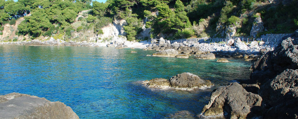 Area marina protetta di Maratea, Cifarelli: A che punto è l’iter?