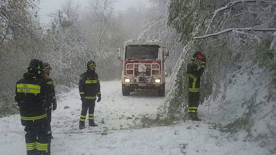 Neve: disagi alla circolazione stradale e alberi caduti