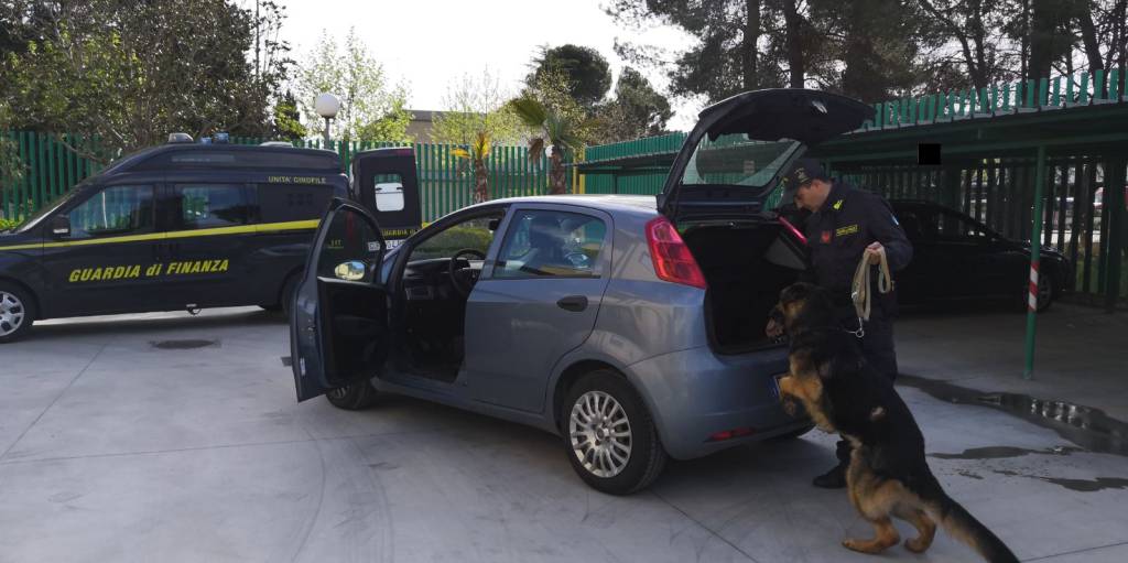 Controlli antidroga nel Materano, due arresti e tre denunce
