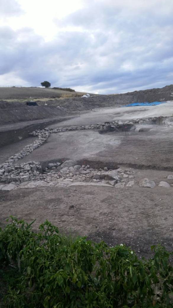 Pale eoliche nel parco archeologico: il Comune di San Chirico ritira il parere favorevole