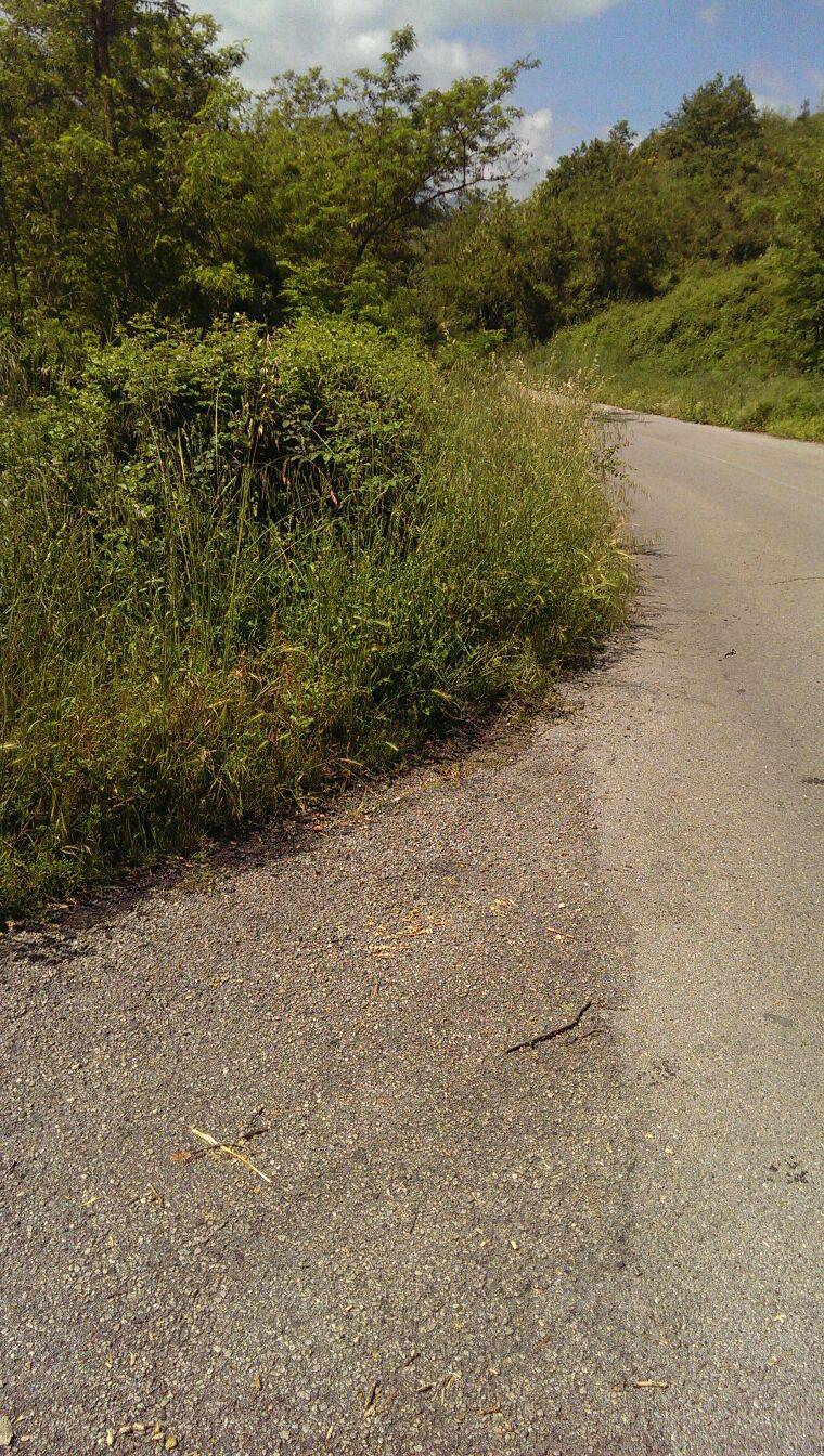 Dissesto strada provinciale Ruoti-Baragiano: nuovo incidente e dei lavori promessi neanche l’ombra