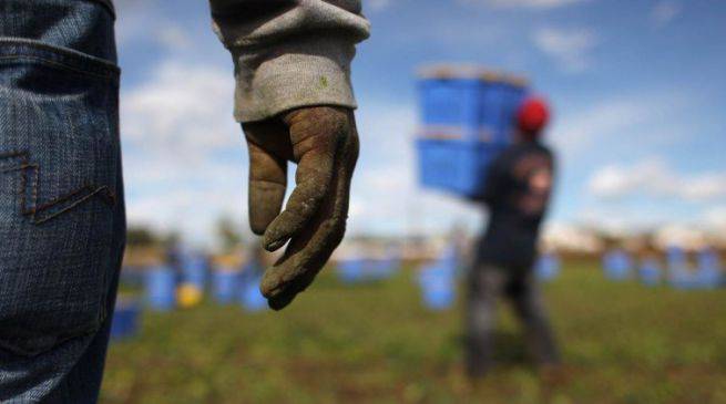 Caporalato, maxi operazione dei carabinieri nei campi agricoli del litorale jonico lucano