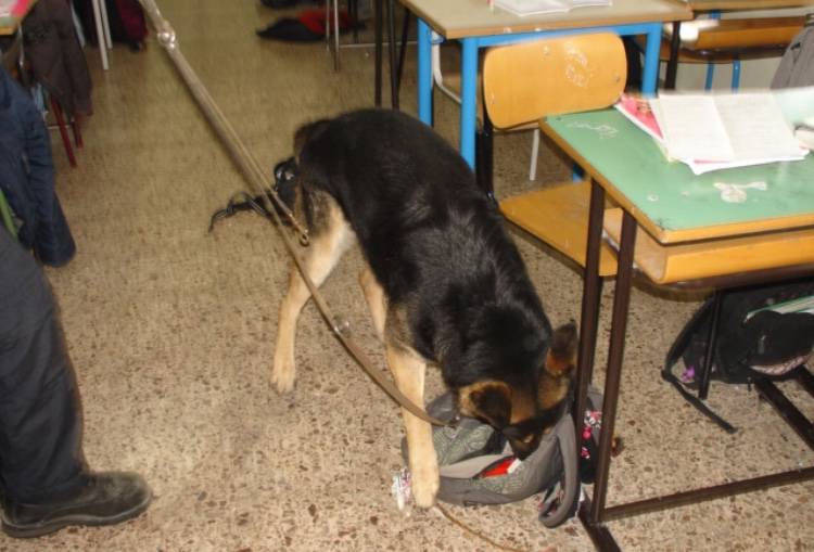 Droga nei corridoi della scuola, ispezione dei carabinieri a Stigliano