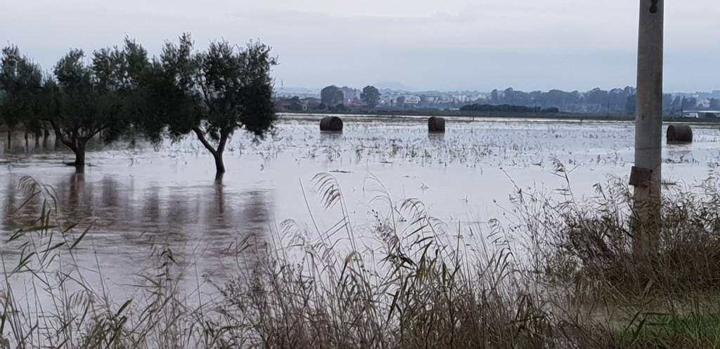 Allagamenti nel Metapontino, canali straripati e aziende agricole danneggiate