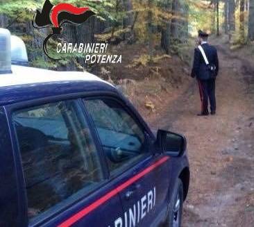 Si perde nei boschi di Avigliano, ritrovato dai carabinieri