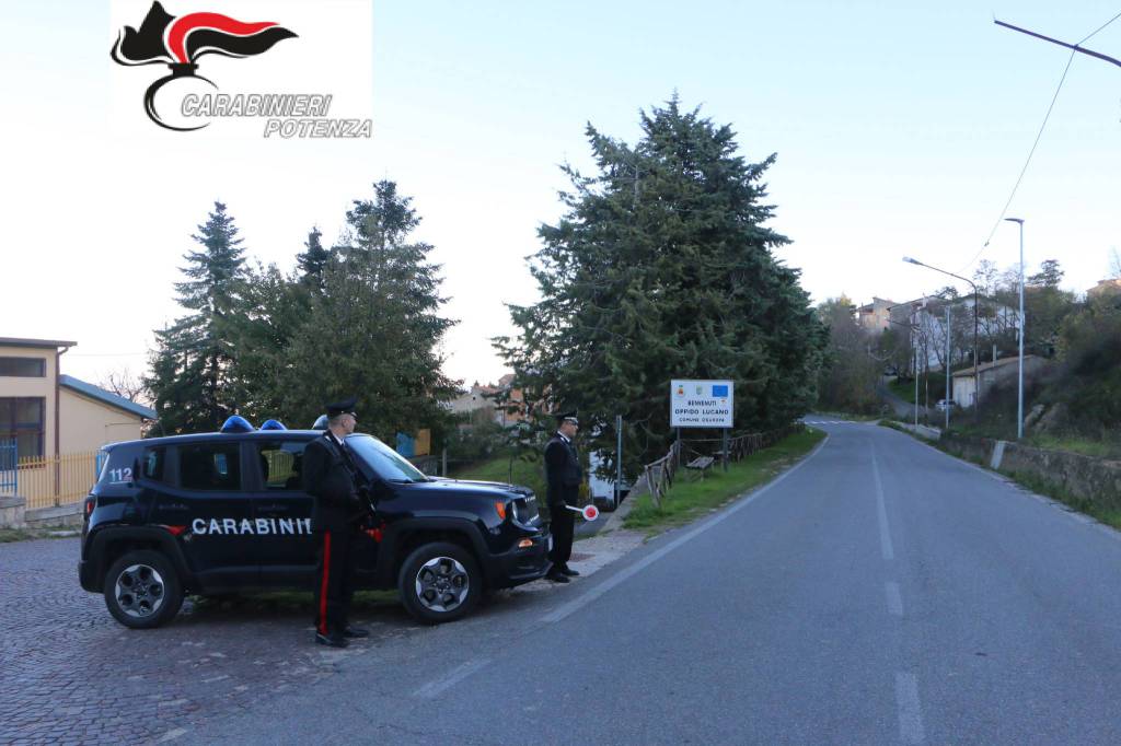 Arrestato il 21enne di Cancellara che ha investito e ucciso un uomo a Oppido Lucano