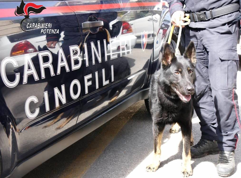 Spaccio di droga in Basilicata, i carabinieri arrestano 12 pusher in pochi giorni