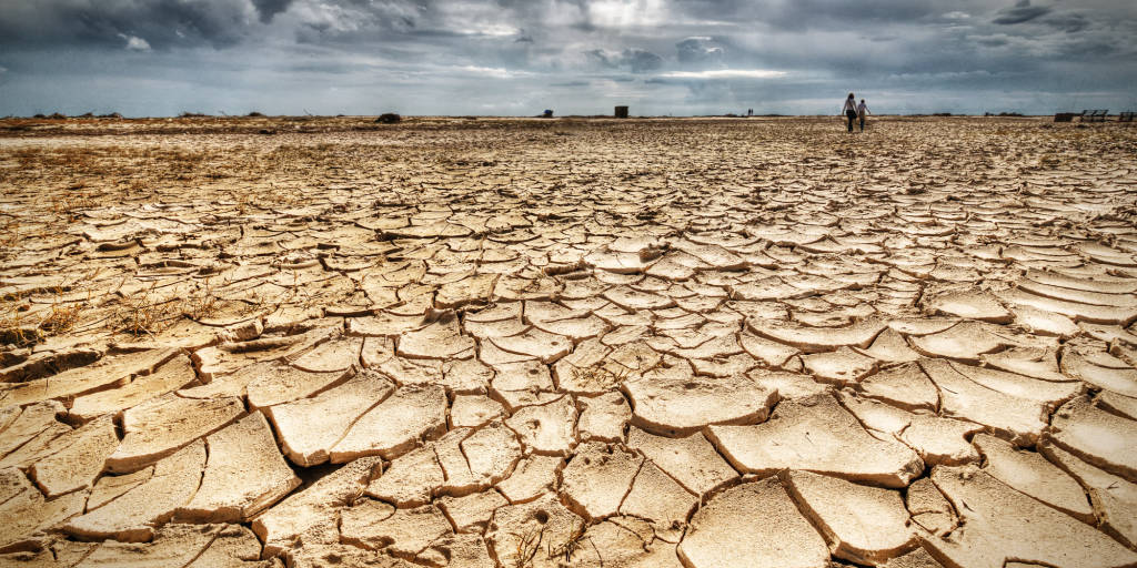Desertificazione, il 55% del territorio lucano a rischio