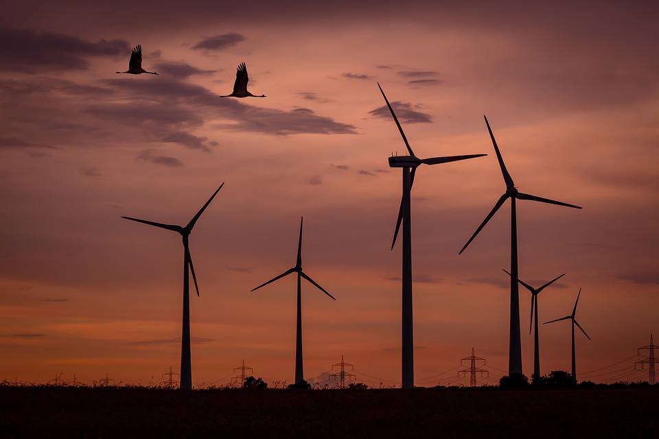 Energia: dal Consiglio dei ministri via libera a 11 progetti di impianti eolici