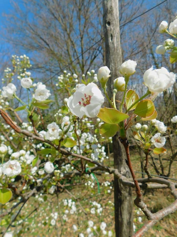 Settimana della biodiversità in Basilicata