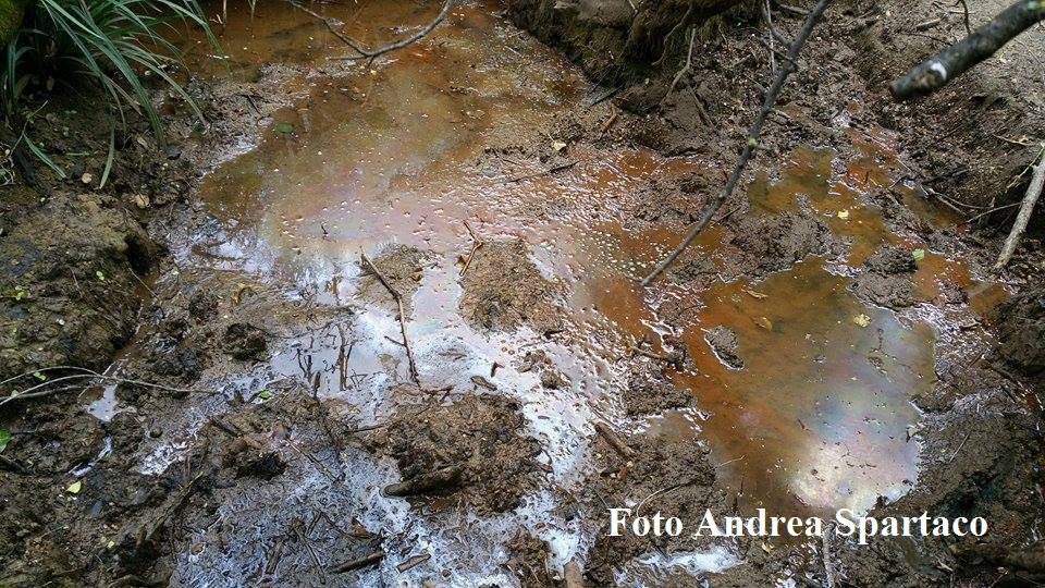 Inquinamento fiume Cavone, allertati organi competenti per presenza di escherichia coli
