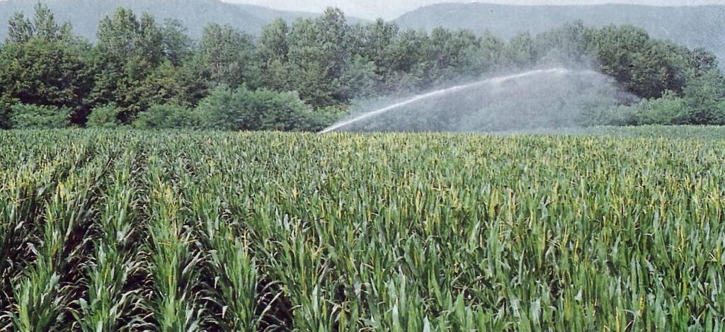 Agricoltura, crisi idrica al Sud ha toccato i livelli di guardia