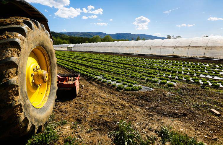Sostegno aziende agricole lucane: un bando per fronteggiare la crisi