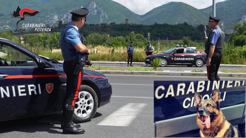 Potenza e provincia: I Carabinieri intensificano i servizi per il controllo del territorio