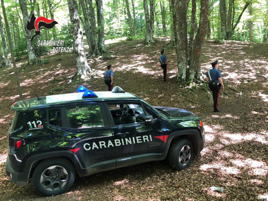 Escursioniste si perdono nel bosco di Abriola, rintracciate dai carabinieri