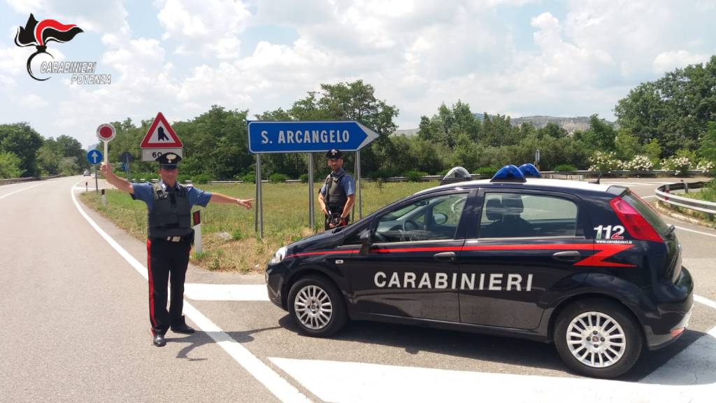 Carabinieri Sant'Arcangelo e piante sequestrate