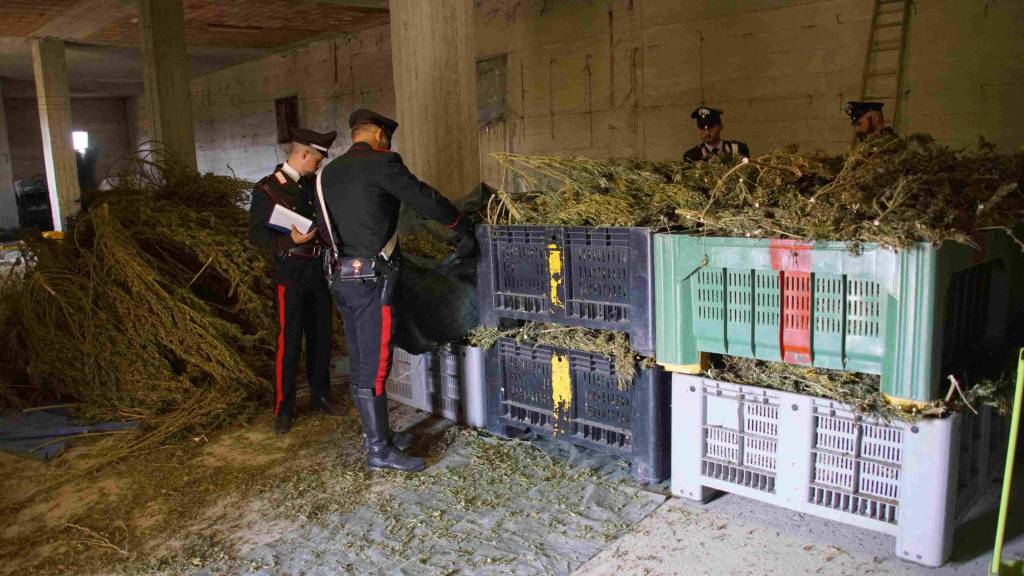 Fabbrica di droga scoperta a Tursi dai carabinieri